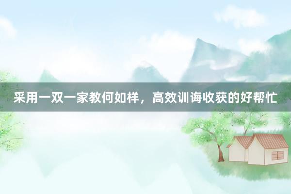 采用一双一家教何如样，高效训诲收获的好帮忙